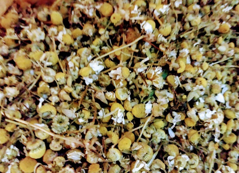 MANZANILLA FLOR 100GR ( DIGESTIVA, RELAJANTE, DOLORES MENSTRUALES )
