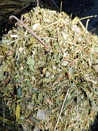 MORINGA X 100 GR