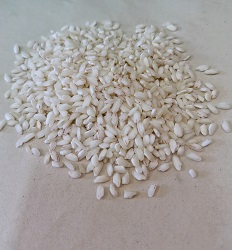 ARROZ CARNAROLI X 1 KG