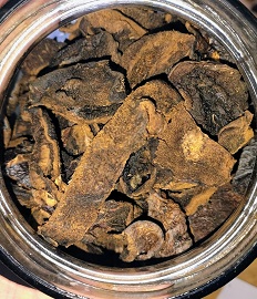 HONGOS DE PINO X 100gr